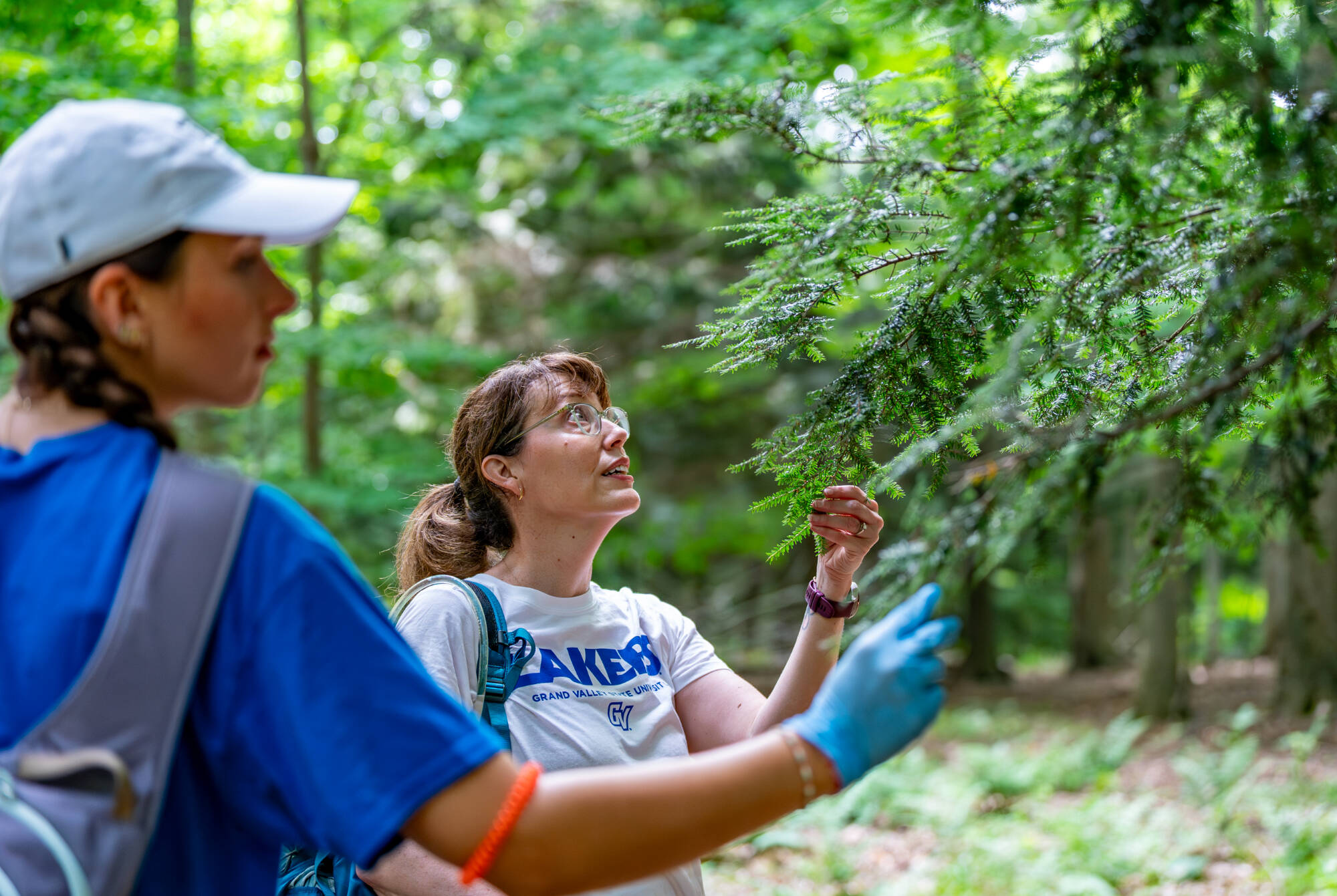 Charlyn Partridge, right, associate professor at GVSU’s Annis Water Resources Institute, examines a hemlock tree with biology major Zoe Gondeck at a Muskegon Conservation District site in Oceana County on July 23. Partridge is leading a study using e...